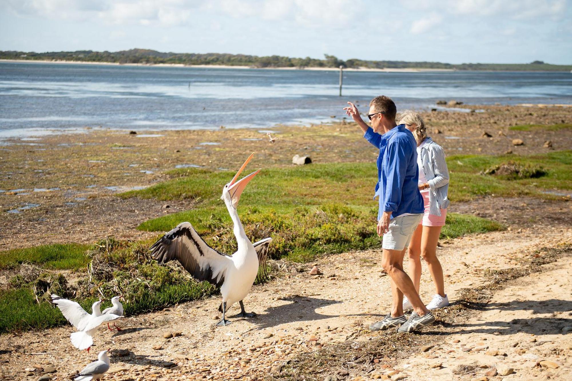 Mercure Kangaroo Island Lodge American River Ngoại thất bức ảnh