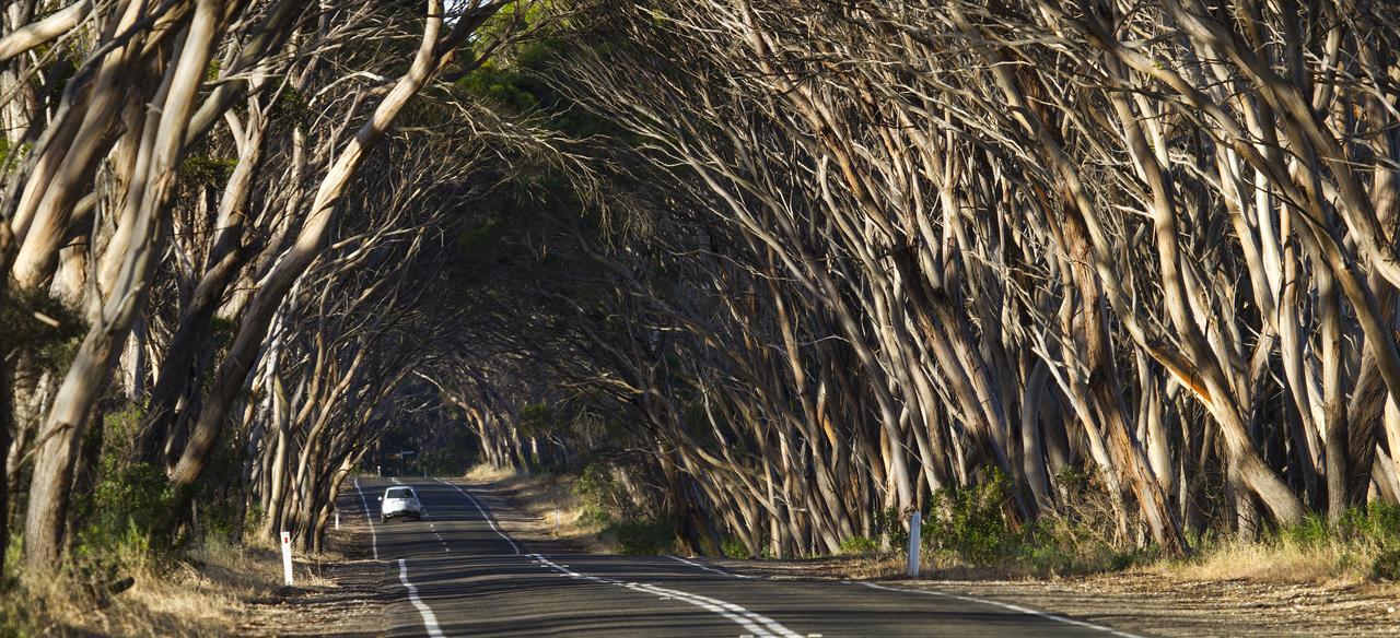 Mercure Kangaroo Island Lodge American River Ngoại thất bức ảnh